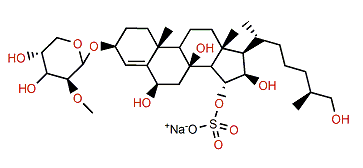 Echinasteroside C 15-O-sulfate